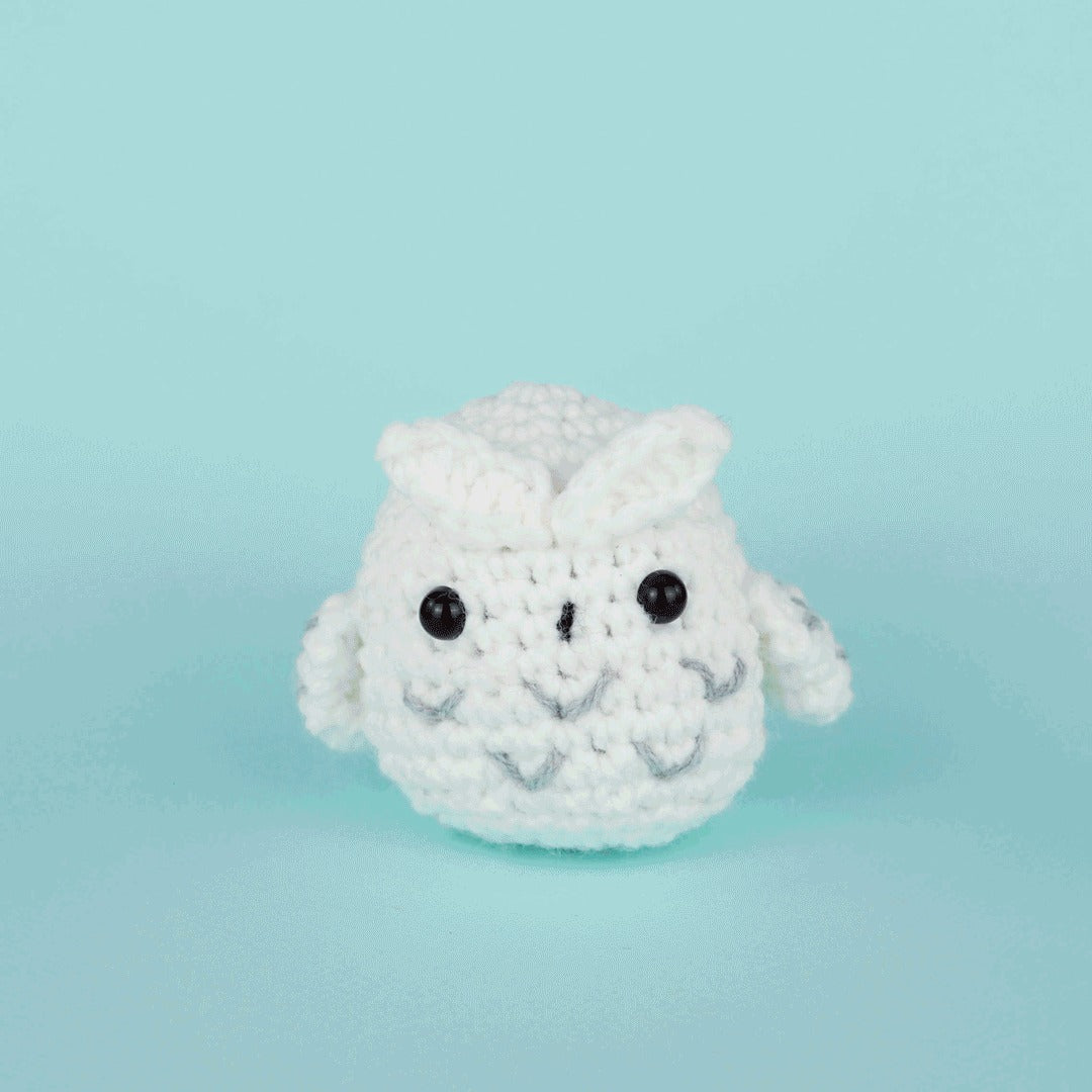 Andy the Owl Crochet Kit