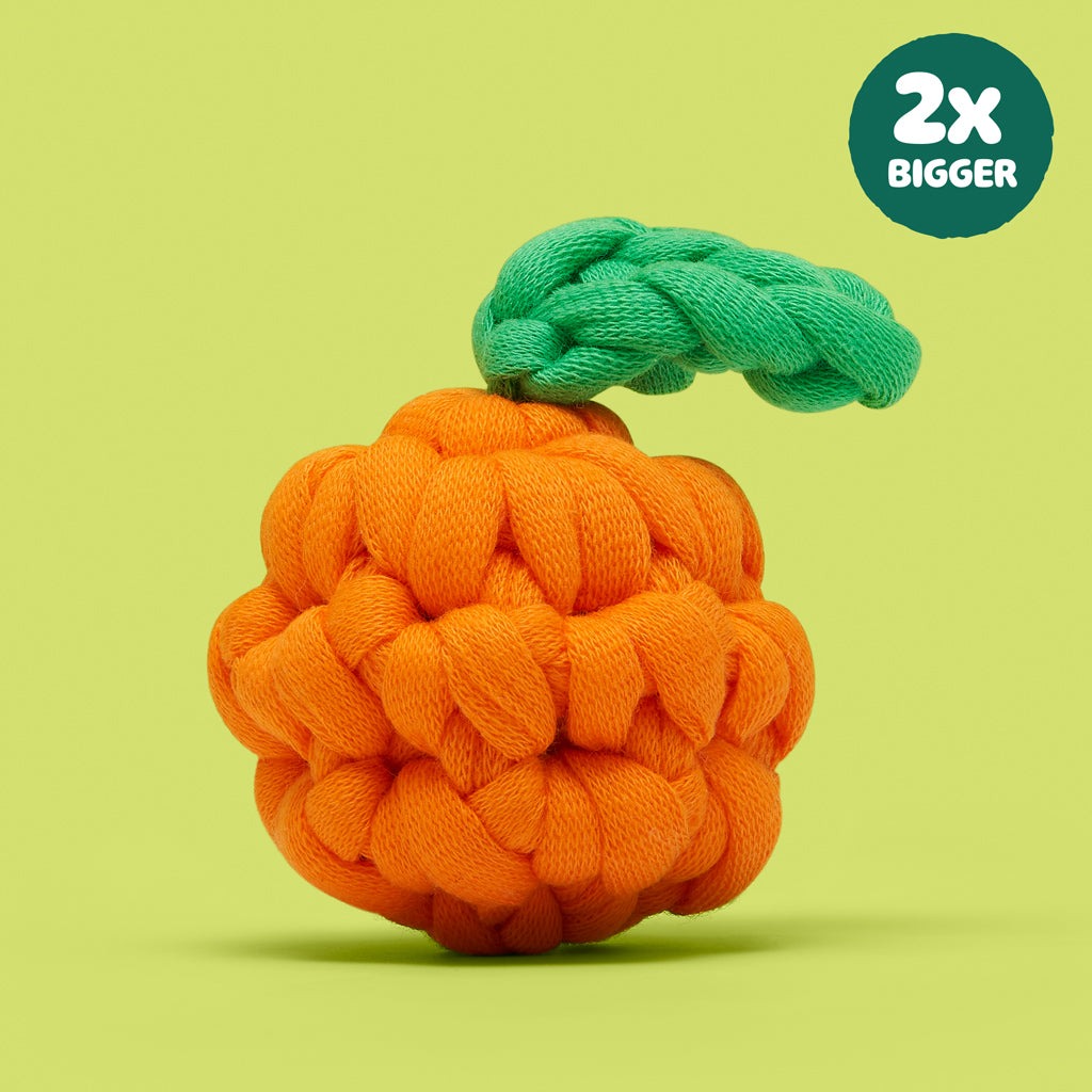 Extra Extra Squeeze All About It Bundle