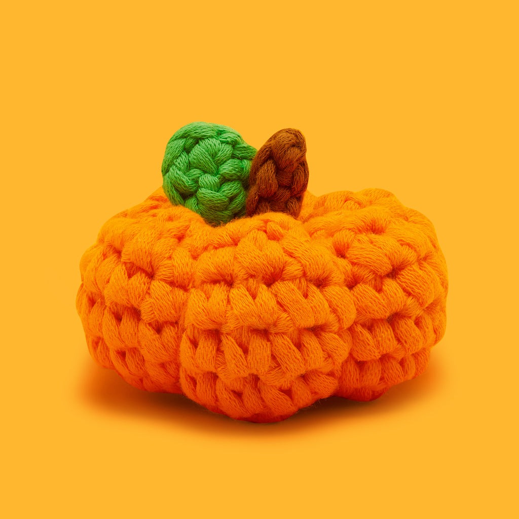 Tiny Pumpkin Accessory Kit